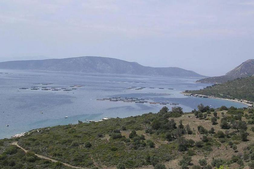 Karaburun'da balık çiftliği tepkisi: Bölgenin ekolojik dengesini bozacak