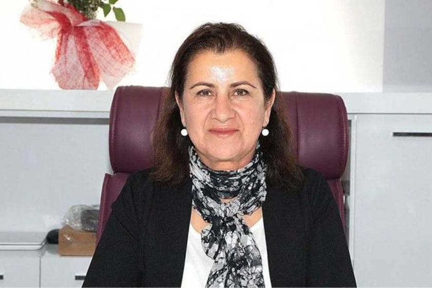 Kızıltepe Belediyesi Eş Başkanı Yılmaz seçim çalışmaları nedeniyle gözaltında