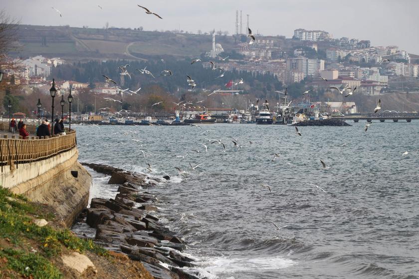 Marmara'da sahil kıyısı