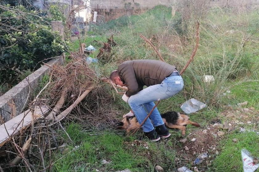 Öldürülen köpek ve veteriner hekim