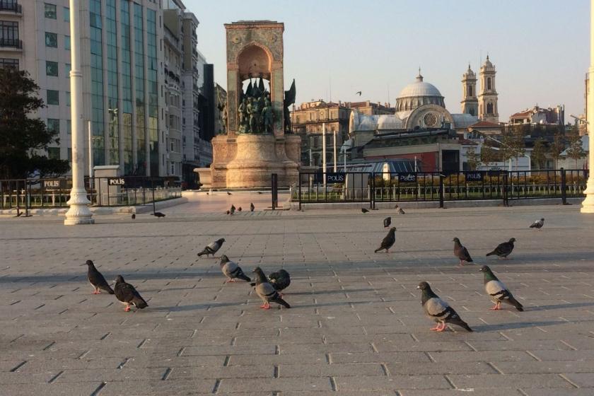 İstanbul Taksim Meydanında kuşlar