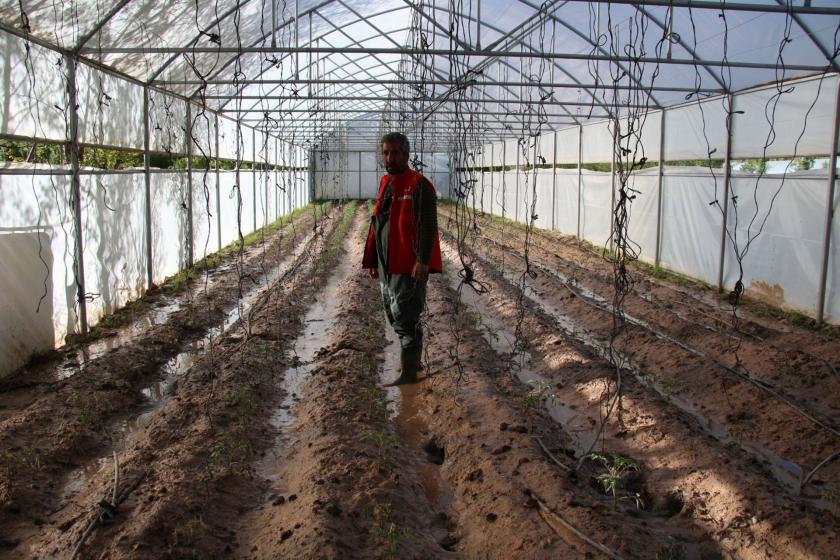 Oltu Çayı taşında seraları su bası