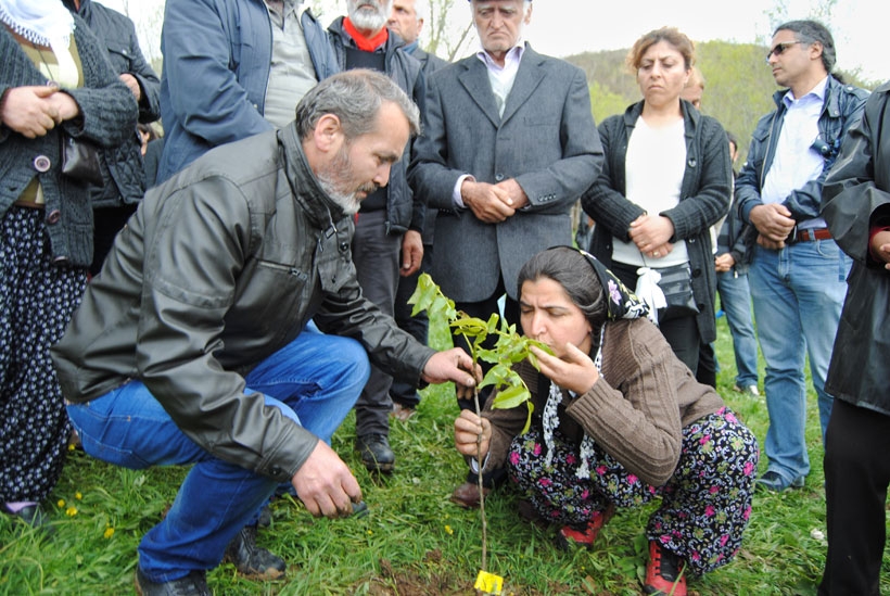 Bursa’dan Dersim’e meyve bahçeleri