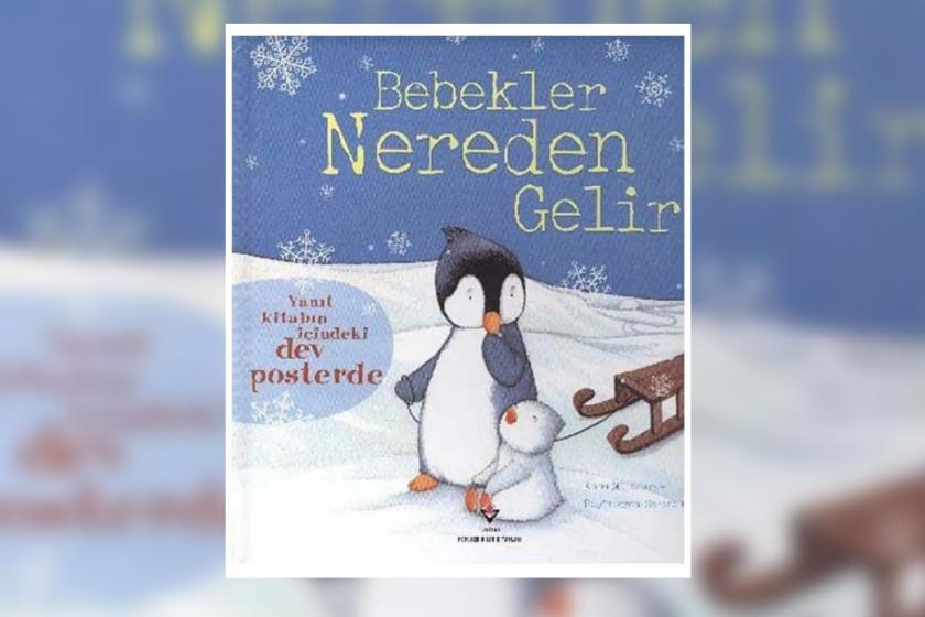 'Bebekler Nereden Gelir' adlı kitabın kapağı.