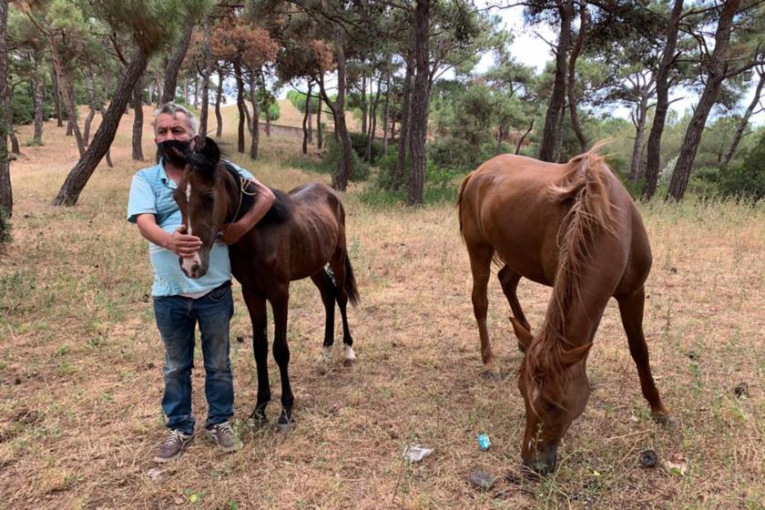  Çetin Erdem ve bu yıl doğan tayı Polat.