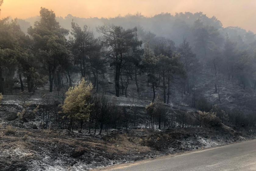 Manisa'da ormanlık alanda çıkan yangın 3 gün sonra kontrol altına alındı