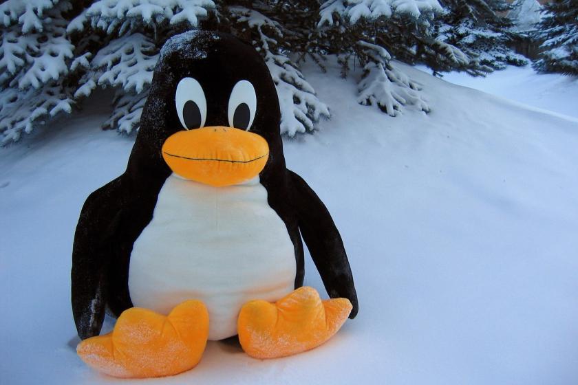 Linux’un maskotu Tux 