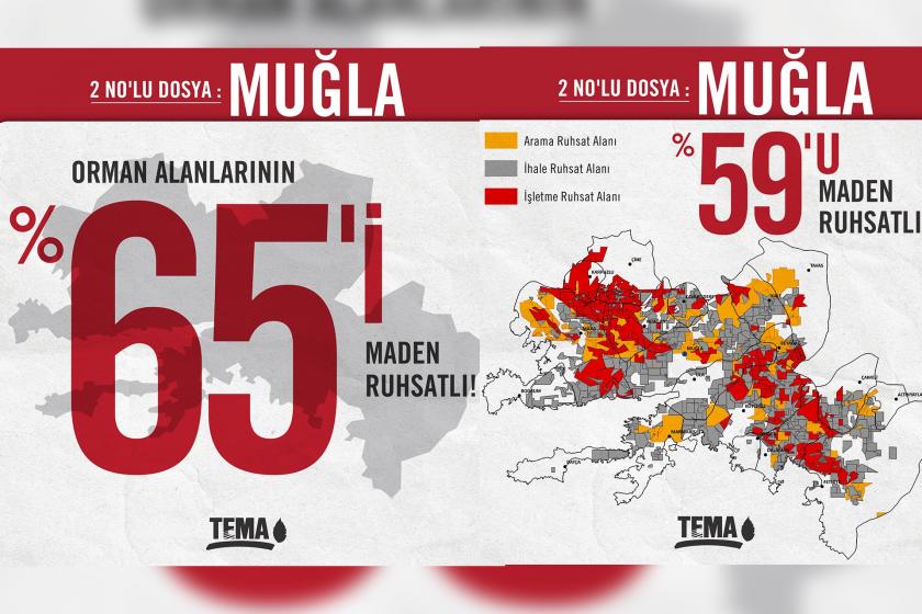 Muğla'da orman alanlarına dair veriler