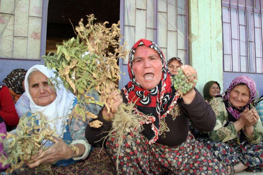 Elinde kuruyan üzüm tutan kadın isyan etti