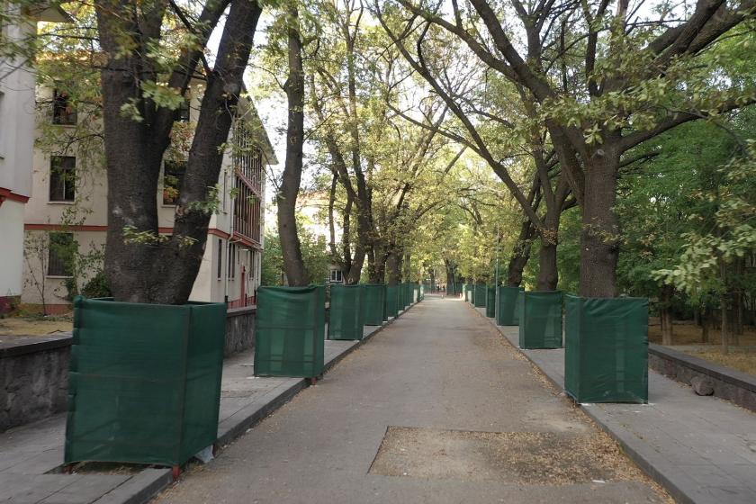 Ankara’da 102 örgüt, Saraçoğlu Mahallesi'nin korunması için çağrıda bulundu