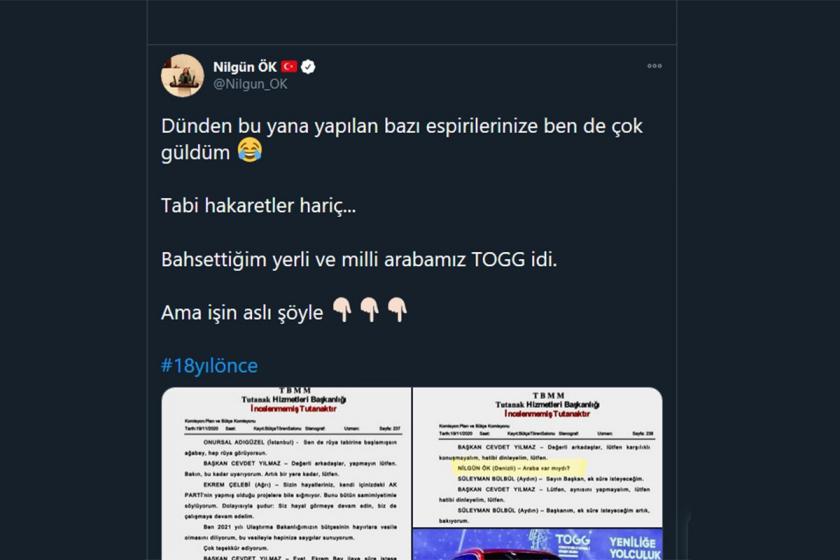 AKP'li Nilgün Ök'ün değiştirilmiş tutanak kullanarak yaptığı paylaşım.