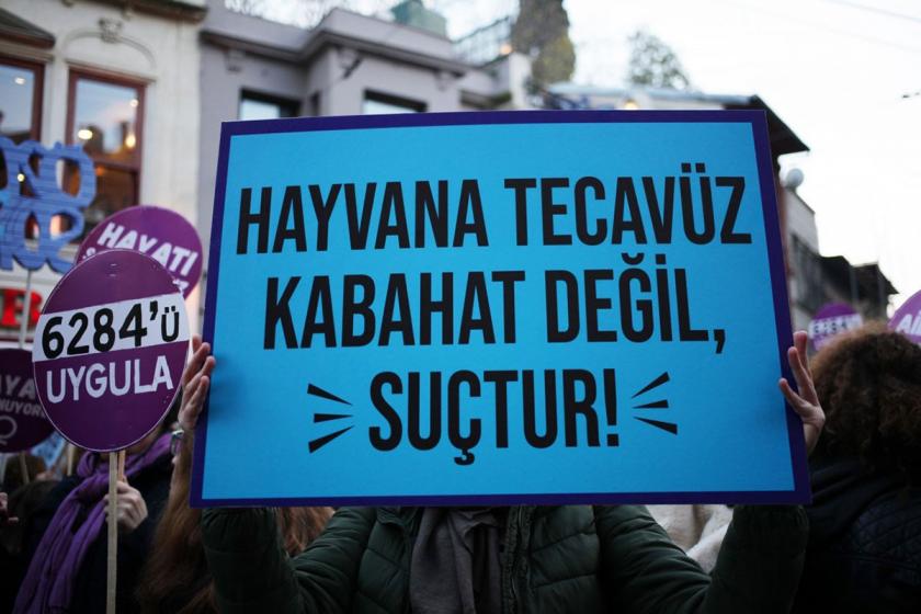 Hayvana tecavüz kabahat değil suçtur yazılı döviz