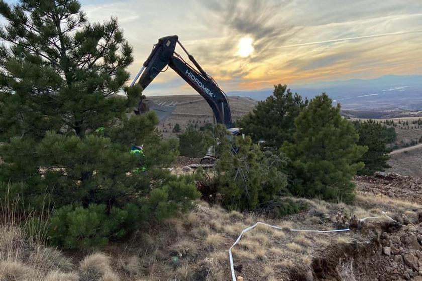 Kapadokya'da altın madeni uğruna parçalanan ağaçlar.