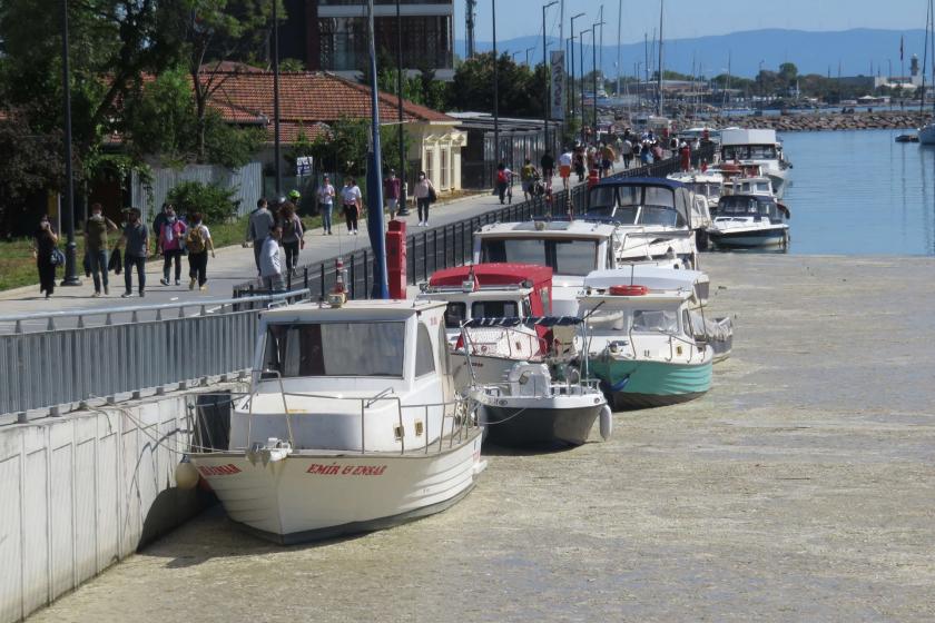 Kurbağalıdere'yi kaplayan deniz salyası, yürüyen insanlar (solda) ve tekneler