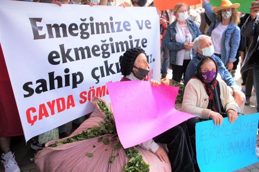 Çay üreticileri: Sizi rahatsız etmeye hakkımızı alana kadar devam edeceğiz