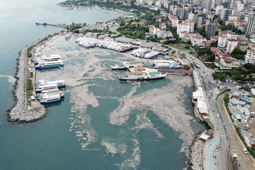 Bostancı sahilini saran deniz salyası