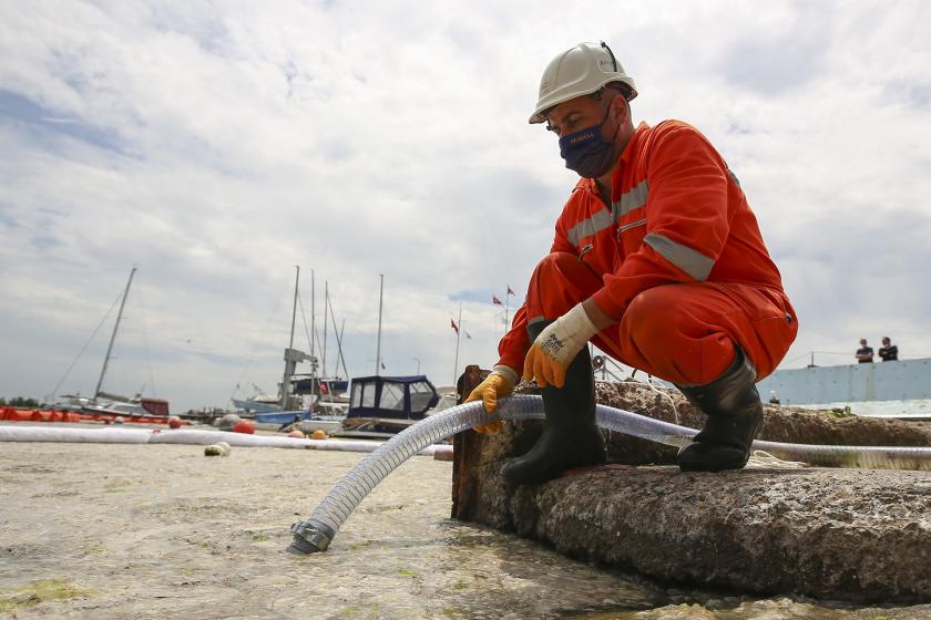 İstanbul Caddebostan Sahili'ndeki müsilaj temizlenme çalışması