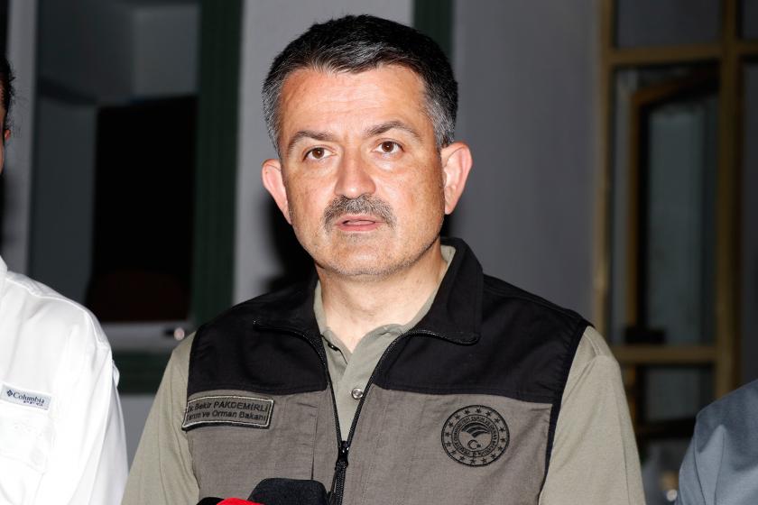 Bakan Pakdemirli: Milas'taki yangın kontrol altına alındı