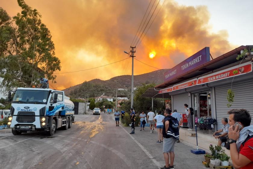 Milas'ta orman yangını