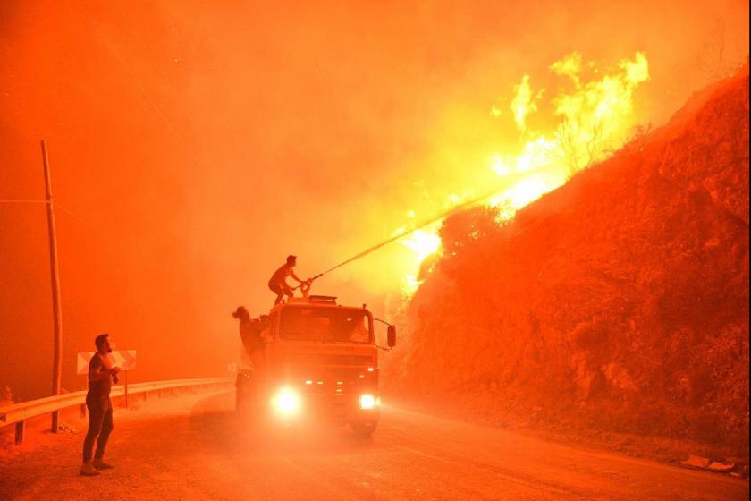 Muğla Milas'taki orman yangını