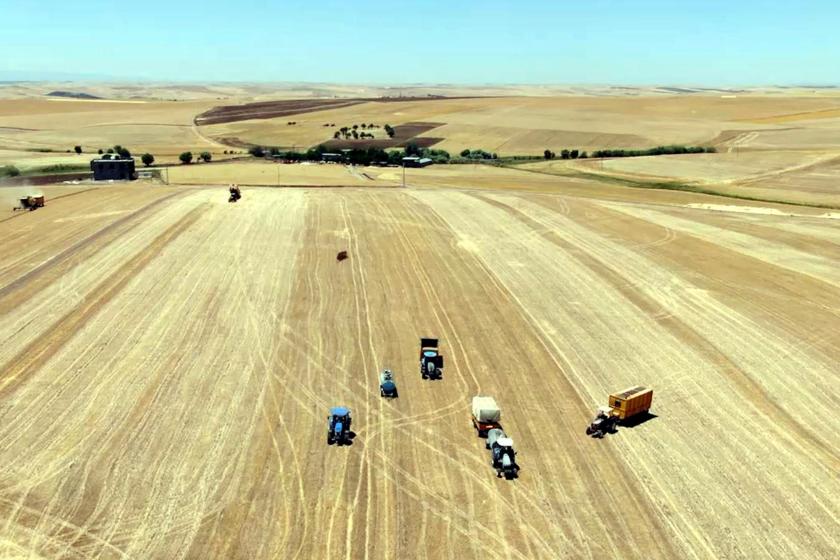 Tarımda üretici enflasyonu yıllık yüzde 50,79 arttı