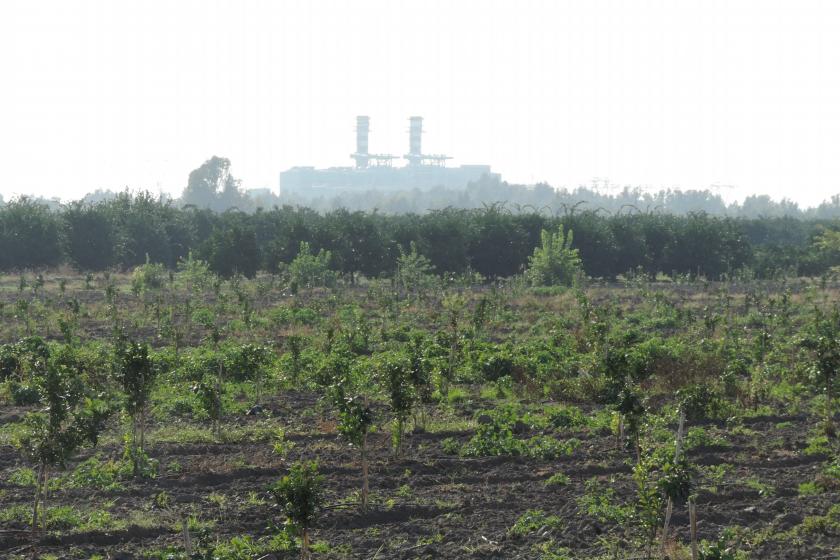 Narenciye yurdu Erzin’de kimyasal tesise karşı dava açıldı