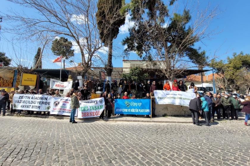 Didim zeytin düzenlemesine tepki