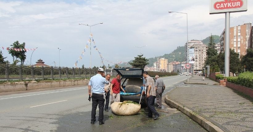 Çaykur önünde tek kişilik kota eylemi