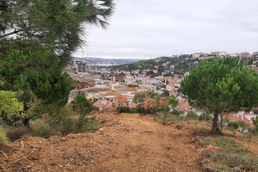 Çocuk Köy ve Millet Bahçesi inşaatı.