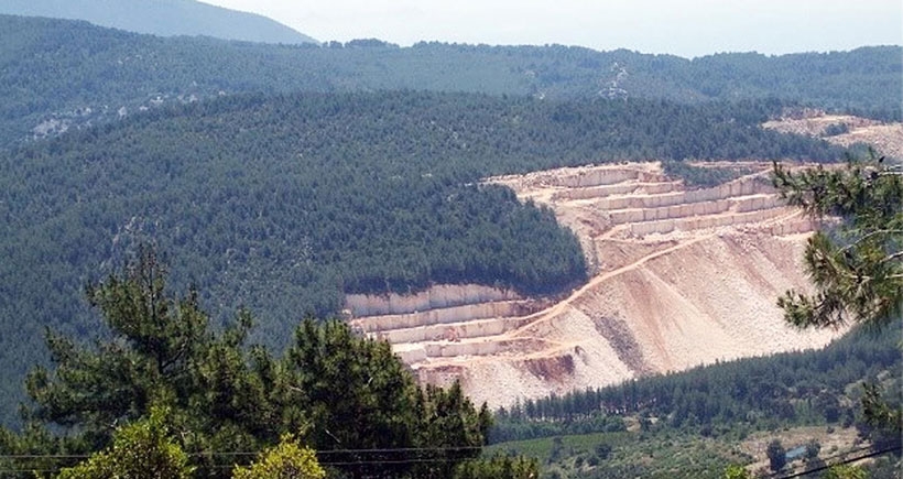 Sedir ormanları katliamına bilirkişi müjdesi