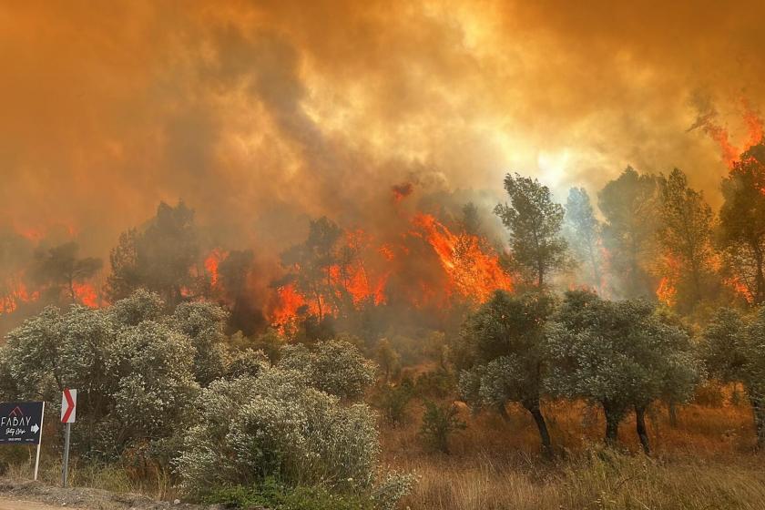 Muğla’da 2021’de yanan ormana RES kurulacak