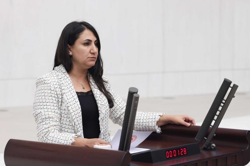 DEM Partili Oduncu: Çift maaşlı bürokratlarınıza ne yapacaksınız?