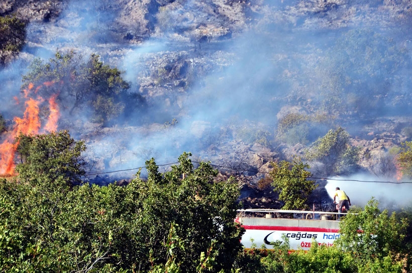 Atılan sigara izmariti 14 hektar alanı küle çevirdi