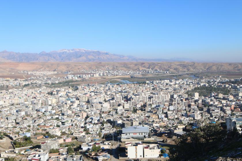 Seçimler öncesi Cizre kayyumu 2 taşınmazı daha satışa çıkardı