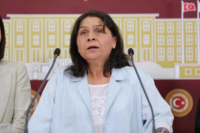 Özgül Saki, tahribata uğrayan "Kadıoğlu Mozaikleri"ni meclis gündemine taşıdı