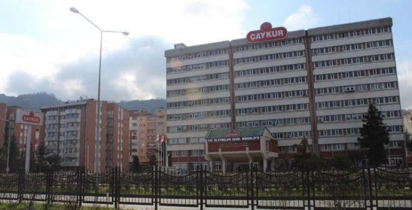 Çaykur'da sendikal bürokrasi yenilecek