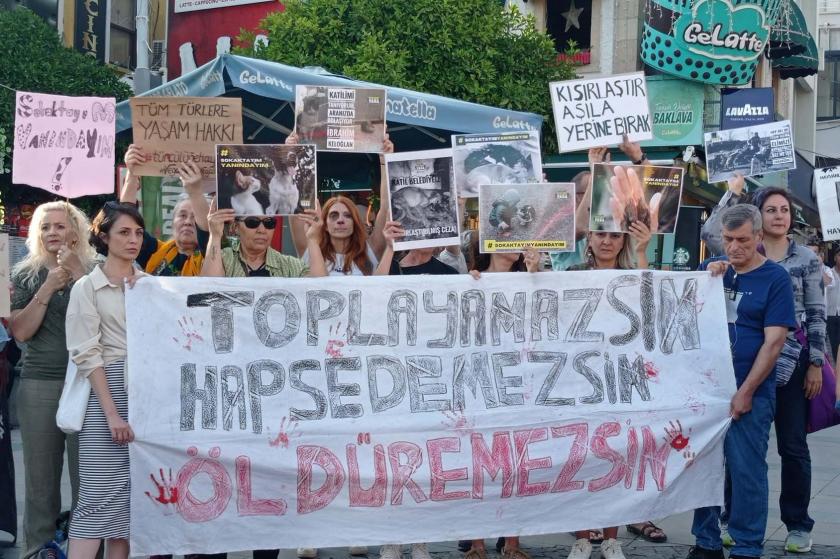 “Türkiye’nin güvenlik sorunu köpekler değil, iktidarın düşmanlaştırıcı dili ve yok etmeye odaklı politikalarıdır”