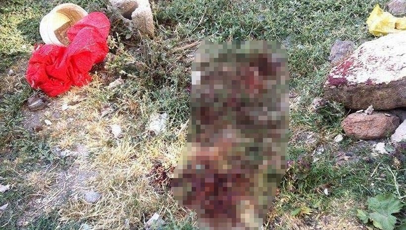 Diyadin'de özel timler 2'si çocuk 3 kişiyi katletti