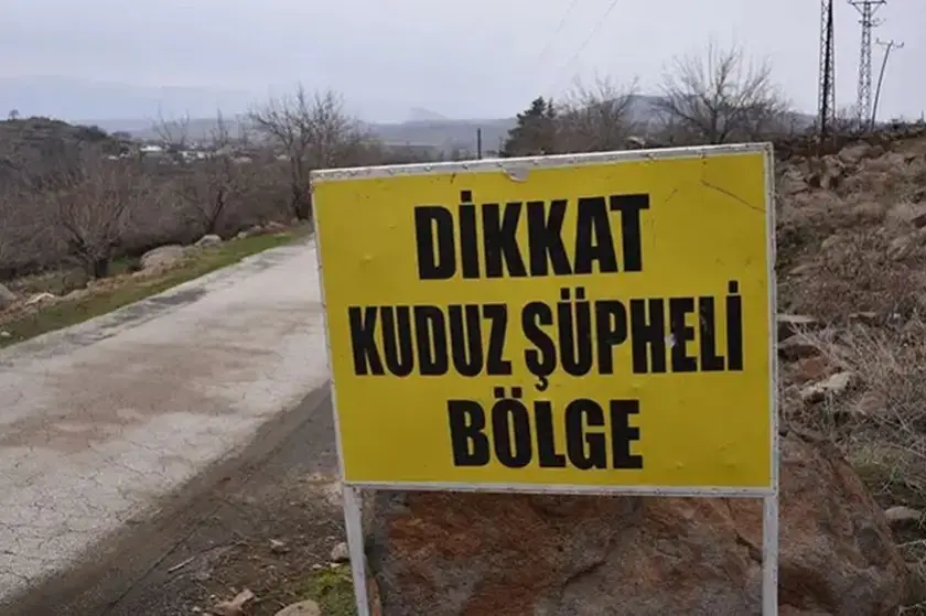 Ardahan'da kuduz vakası: Bölge karantinaya alındı