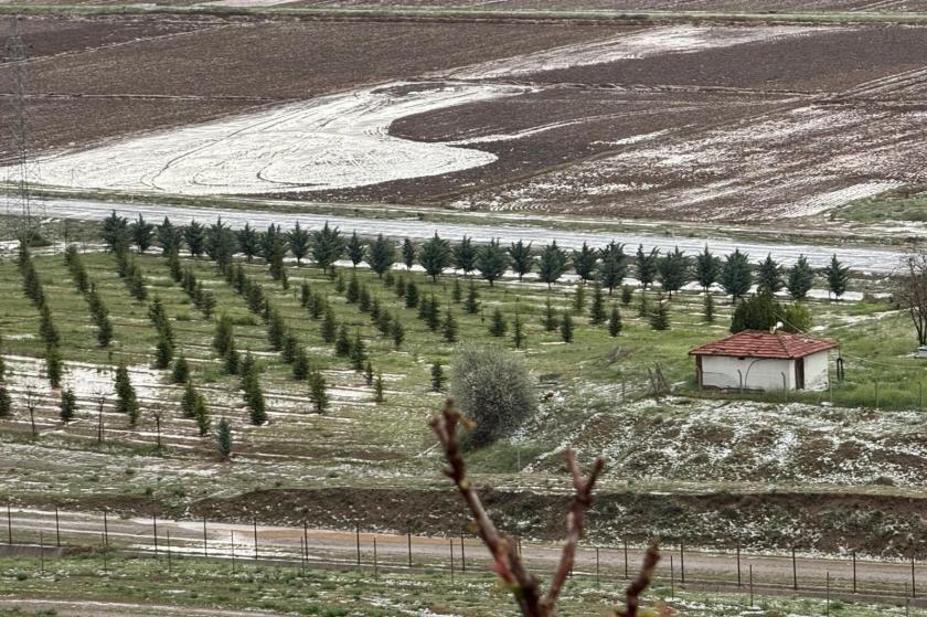 Çankırı’da sağanak ve dolu: 8 bin dönüm tarım alanı zarar gördü