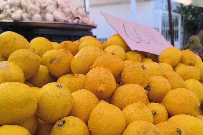 Pazar esnafı: Limonun fiyatı daha da artar, hepsini don vurdu