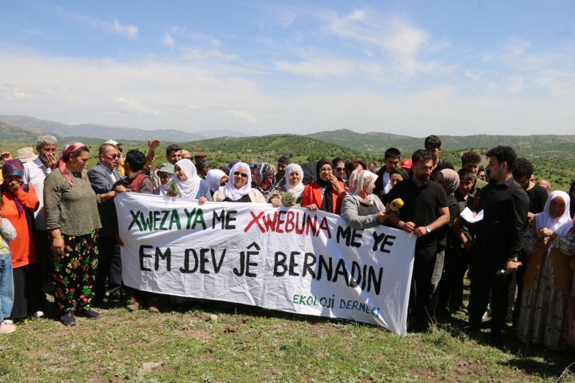 Diyarbakır’da GES projesine itiraz: “Yeşil alan ÇED’de çorak gösterildi”