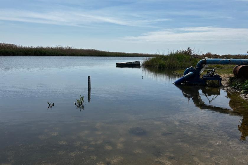 Gediz Nehri'nin kirliliği Meclis gündeminde: Kimyasal akan Gediz Nehri ölüyor ne yaptınız?