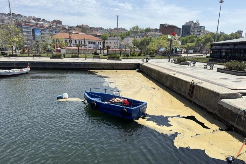 Müsilaj Marmara Denizi'nde etkisini sürdürüyor: Balıkesir'in Bandırma ve Erdek ilçelerinde görüldü
