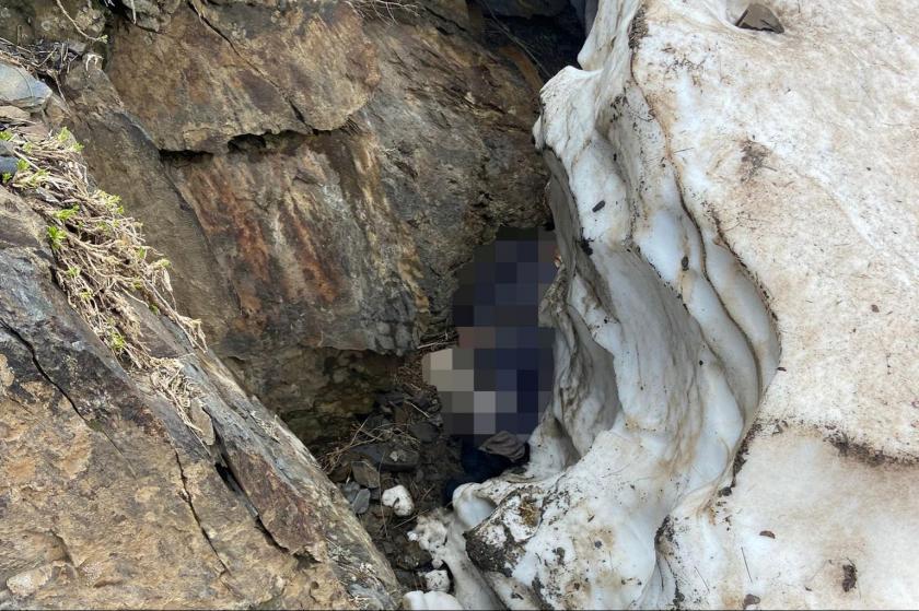 Bitlis'te pancar toplamak için dağa giden kadın ölü bulundu