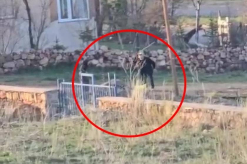 Eşeğe sopalı eziyet: Gözaltına alınıp serbest bırakıldı