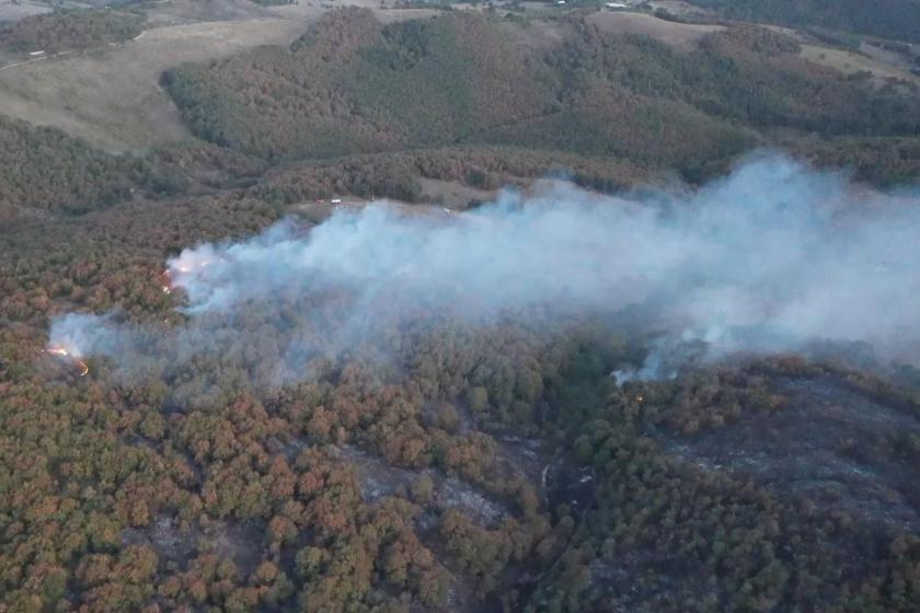 Kocaeli'de orman ve makilik alanlara giriş yasağı: Ormana yakın bölgelerde ateş yakanlara adli işlem uygulanacak