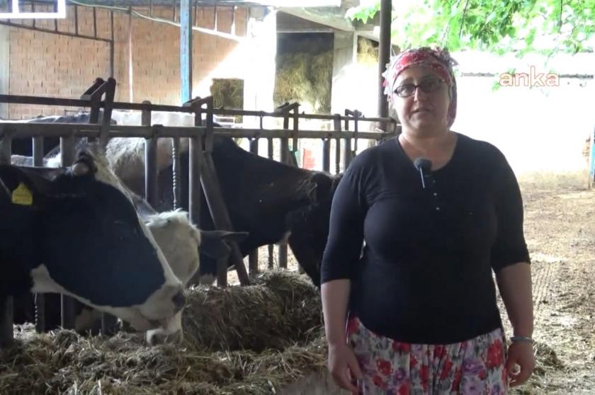 Aydınlı besici: Bir kilo yemle bir kilo süt denk gelmiyor
