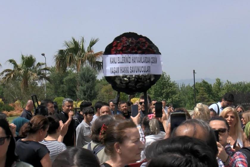 Barınakta hayvanların uyutulması belediye önünde protesto edildi