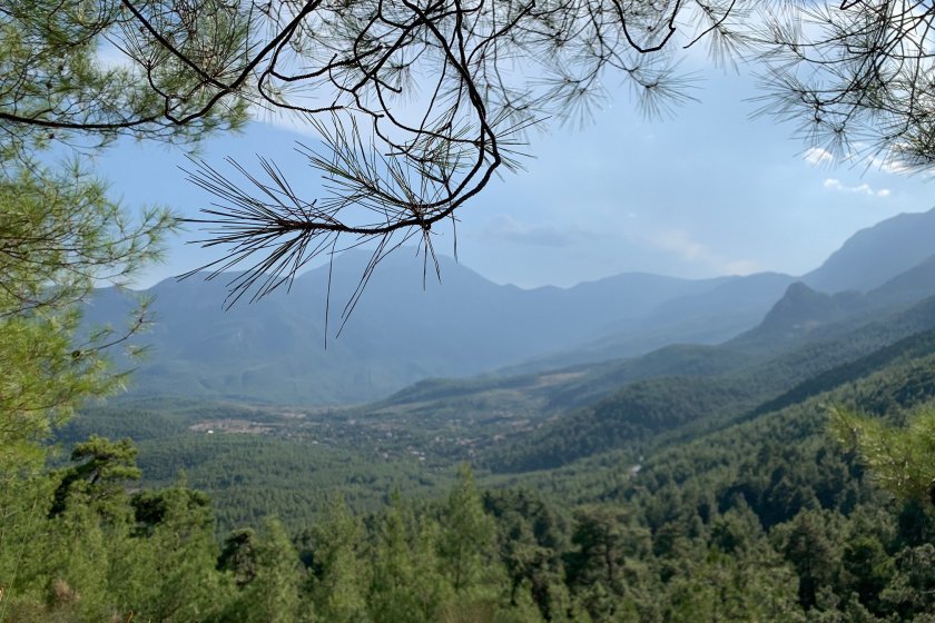 Kemer'de 100 dekarlık orman arazisinde yapılaşma izni
